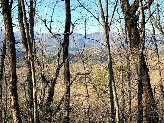 7.0 ac Laurel Drive, Marble NC 28905 - Photo
