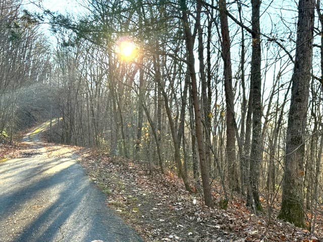 7.0 ac Laurel Drive, Marble NC 28905 - Photo