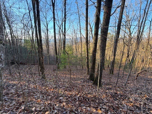 7.0 ac Laurel Drive, Marble NC 28905 - Photo