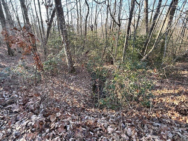 7.0 ac Laurel Drive, Marble NC 28905 - Photo