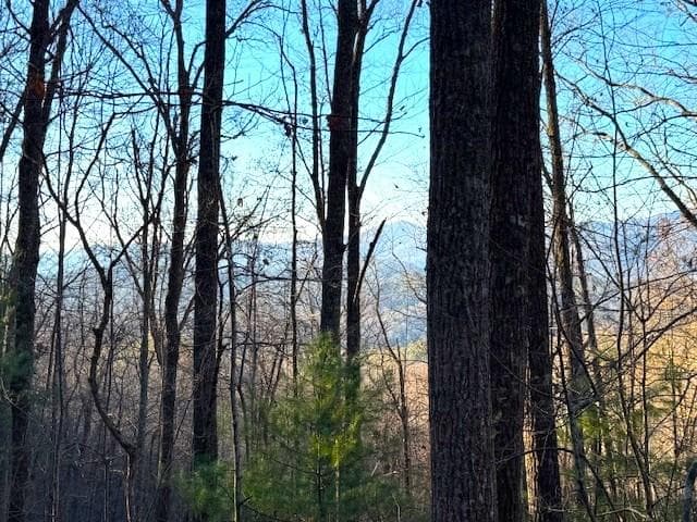 7.0 ac Laurel Drive, Marble NC 28905 - Primary photo