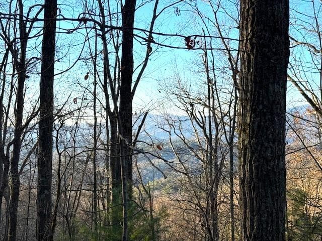 7.0 ac Laurel Drive, Marble NC 28905 - Photo