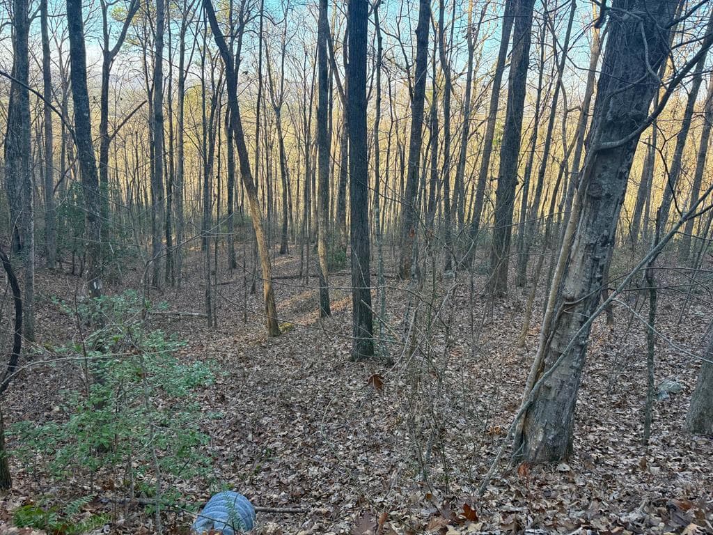 7.0 ac Laurel Drive, Marble NC 28905 - Photo