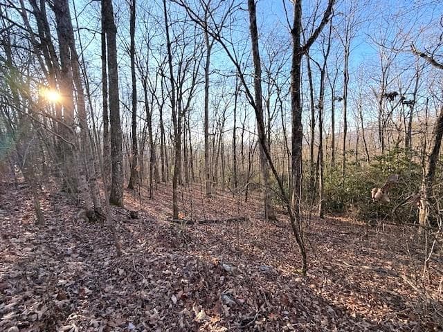 7.0 ac Laurel Drive, Marble NC 28905 - Photo