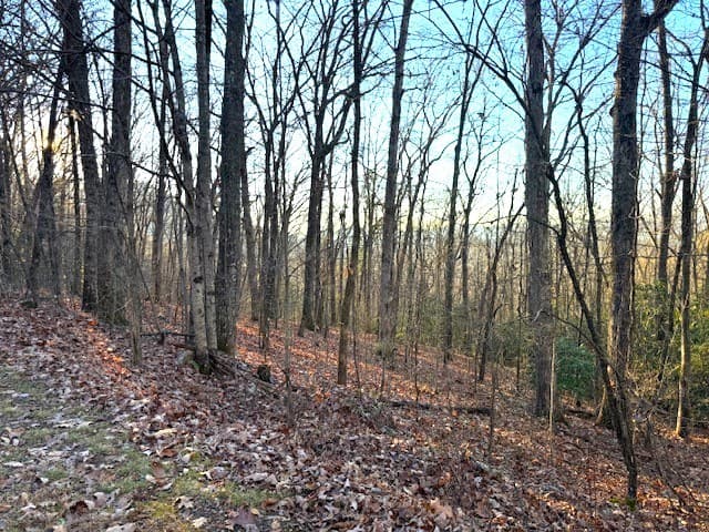 7.0 ac Laurel Drive, Marble NC 28905 - Photo