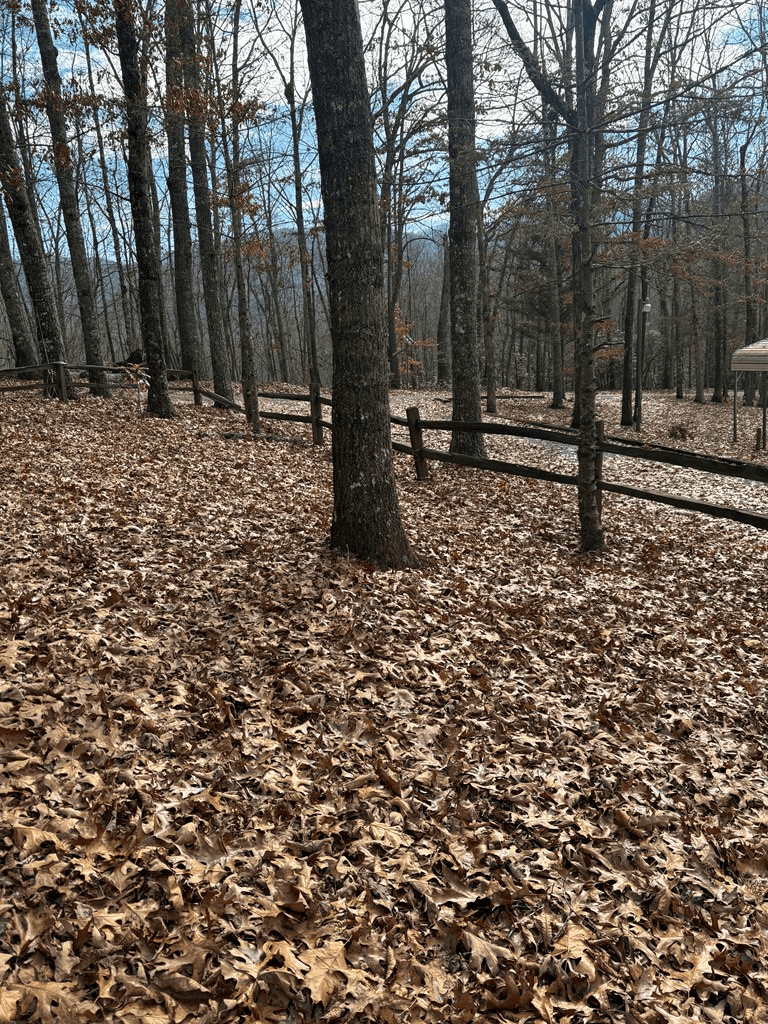 119 Laurel Branch Drive, Hayesville NC 28904 - Photo