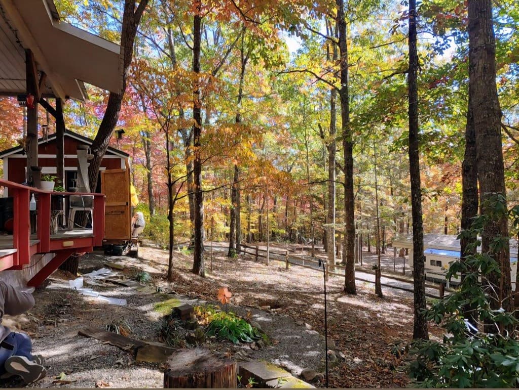 119 Laurel Branch Drive, Hayesville NC 28904 - Photo