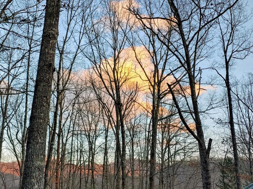 119 Laurel Branch Drive, Hayesville NC 28904 - Photo