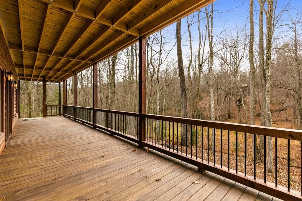 170 Ross Drive, Mineral Bluff GA 30559 - Photo