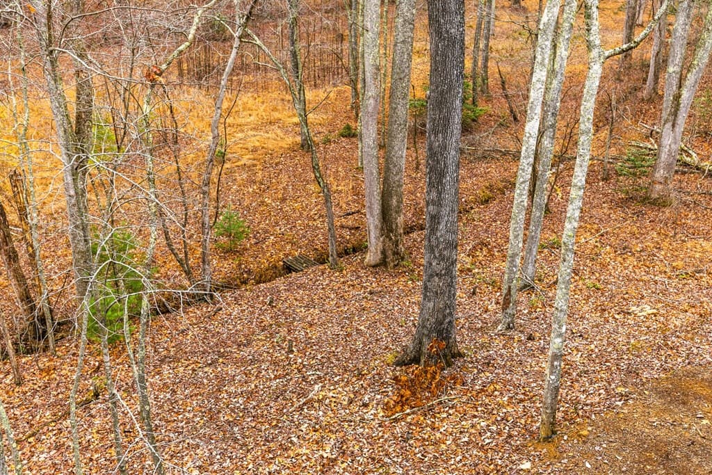 170 Ross Drive, Mineral Bluff GA 30559 - Photo