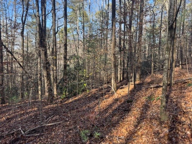 68 Acres Ponderosa Road, Rabun Gap GA 30568 - Photo