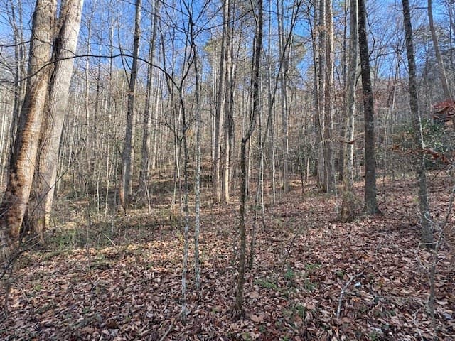 68 Acres Ponderosa Road, Rabun Gap GA 30568 - Photo
