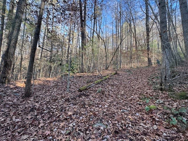 68 Acres Ponderosa Road, Rabun Gap GA 30568 - Photo