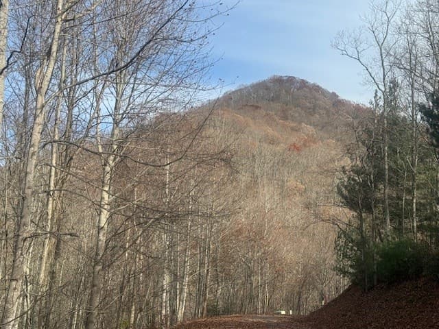 68 Acres Ponderosa Road, Rabun Gap GA 30568 - Photo