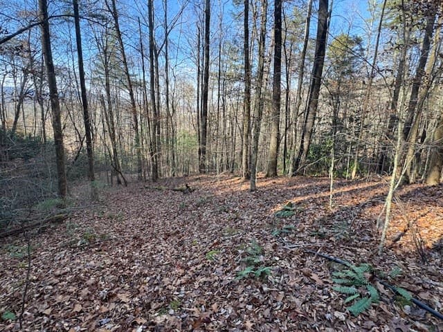 68 Acres Ponderosa Road, Rabun Gap GA 30568 - Photo