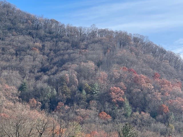 68 Acres Ponderosa Road, Rabun Gap GA 30568 - Photo