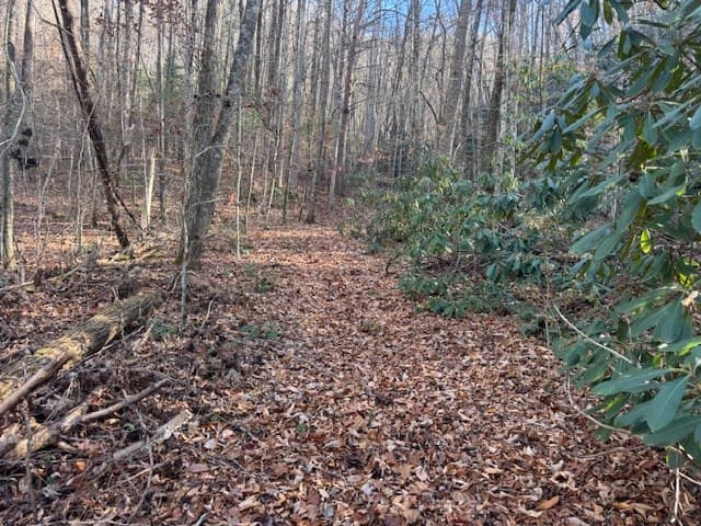 68 Acres Ponderosa Road, Rabun Gap GA 30568 - Photo