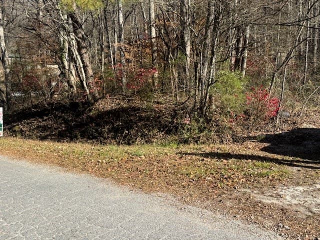 68 Acres Ponderosa Road, Rabun Gap GA 30568 - Photo