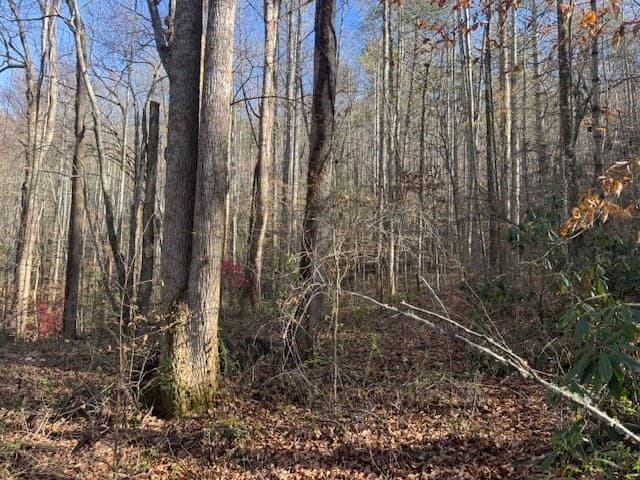 68 Acres Ponderosa Road, Rabun Gap GA 30568 - Photo