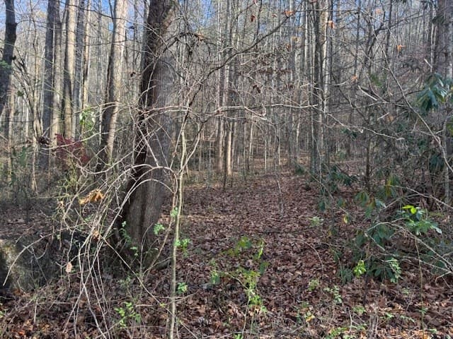 68 Acres Ponderosa Road, Rabun Gap GA 30568 - Photo