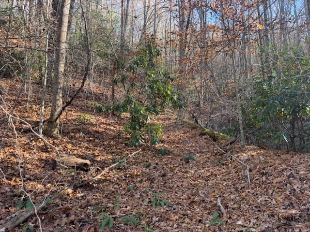 68 Acres Ponderosa Road, Rabun Gap GA 30568 - Photo