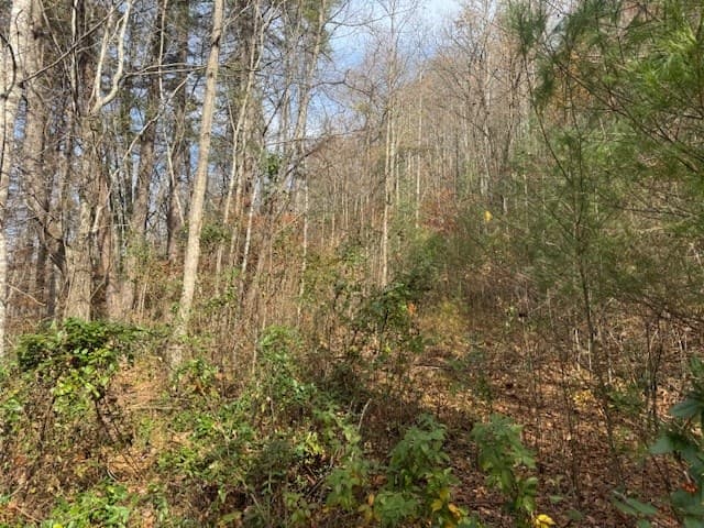 68 Acres Ponderosa Road, Rabun Gap GA 30568 - Photo