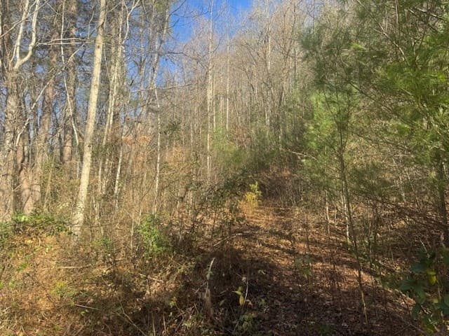 68 Acres Ponderosa Road, Rabun Gap GA 30568 - Photo