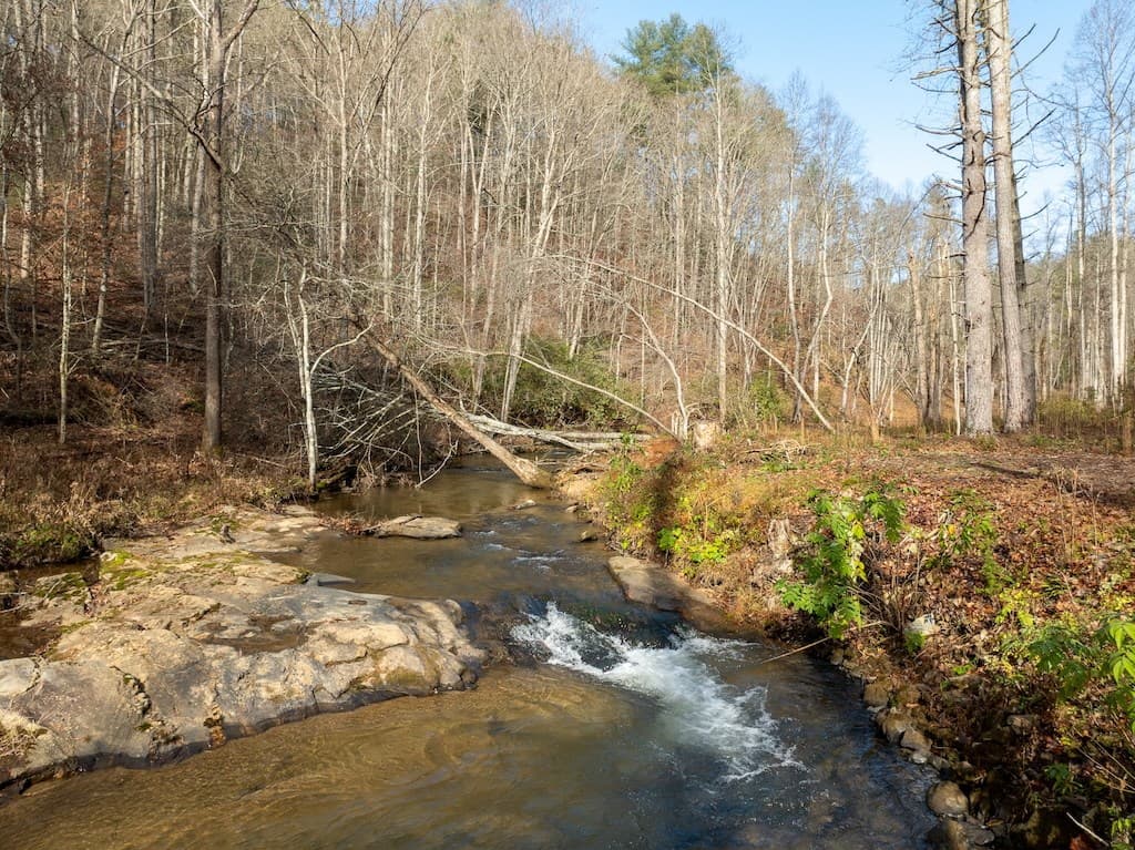 894 Hap Holt Road, Ellijay GA 30540 - Photo