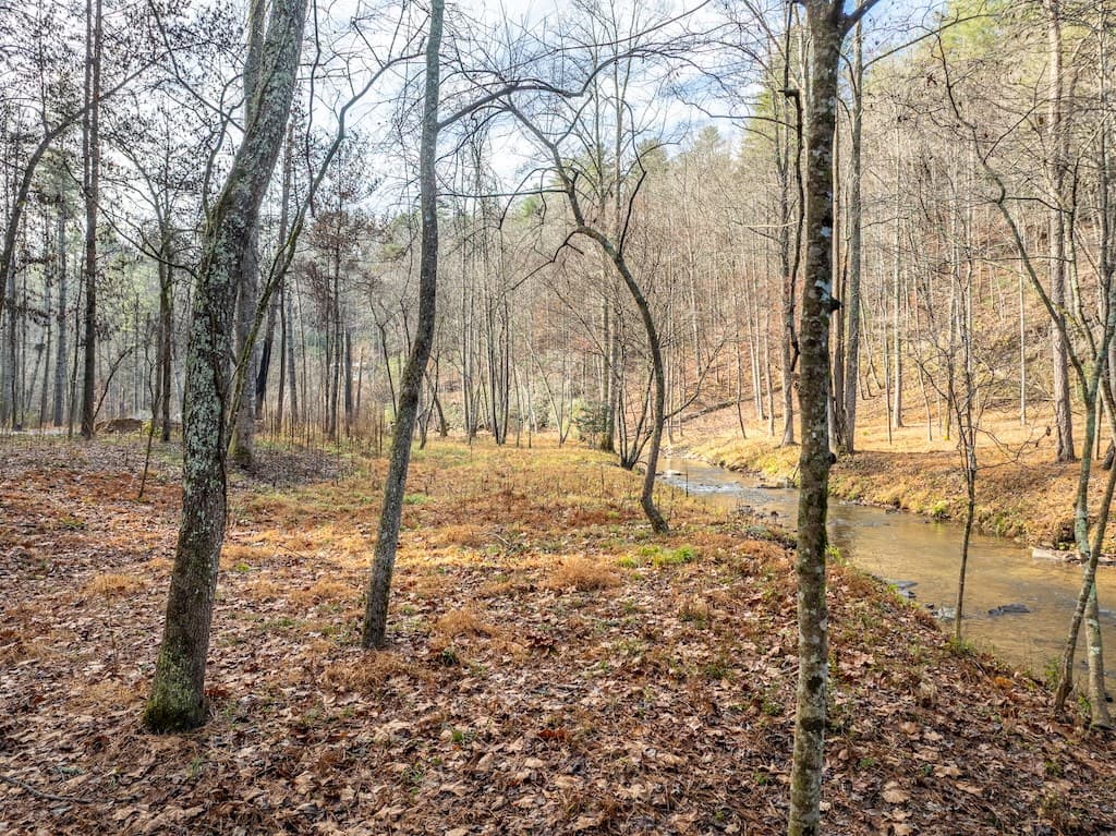 894 Hap Holt Road, Ellijay GA 30540 - Photo