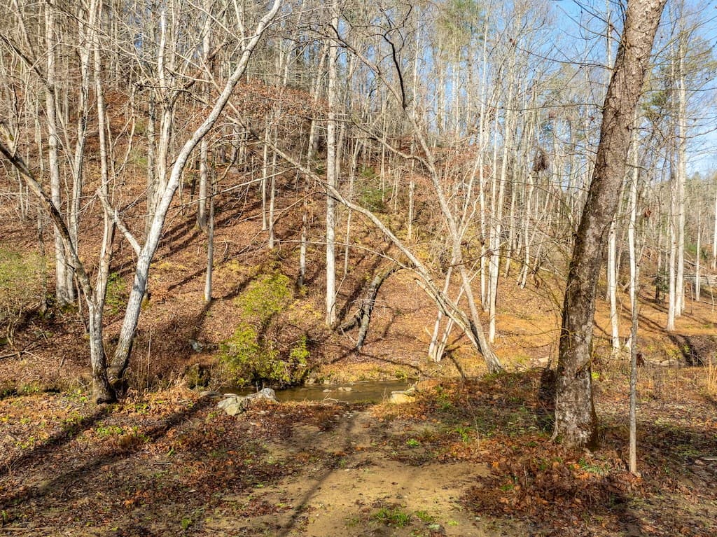 894 Hap Holt Road, Ellijay GA 30540 - Photo