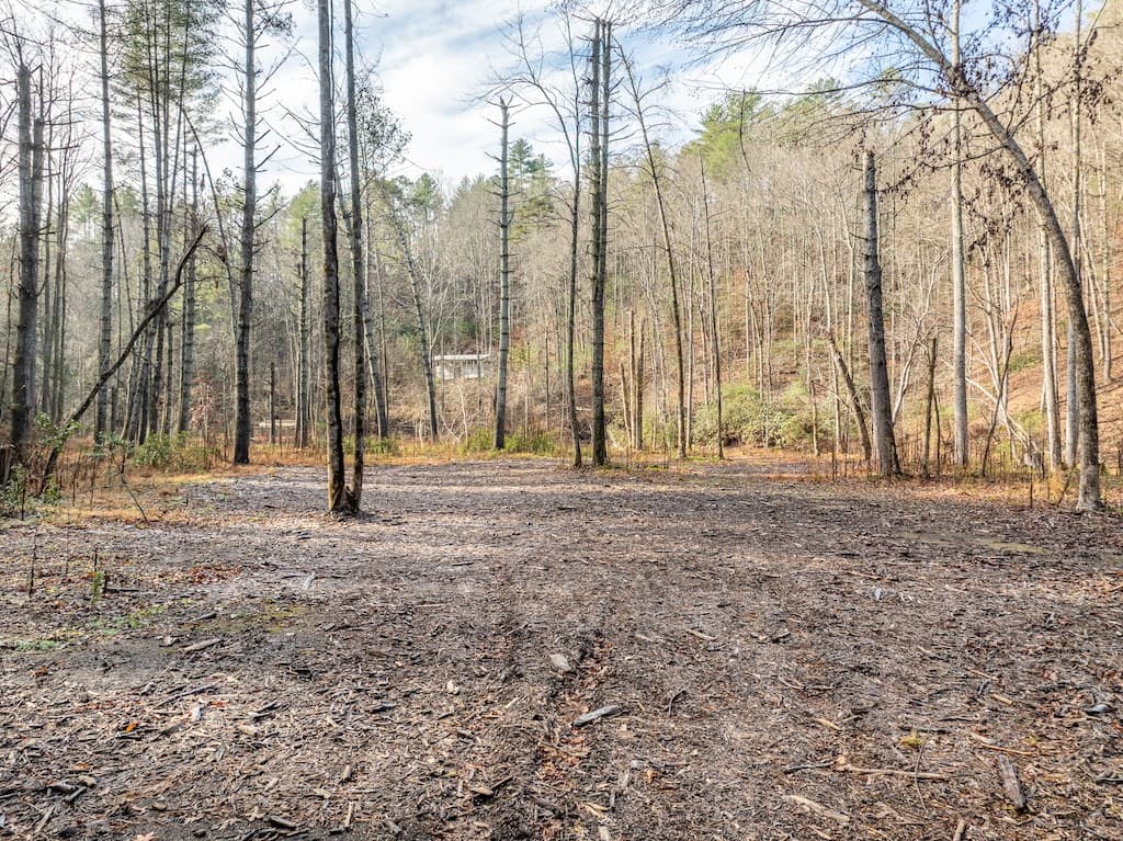 894 Hap Holt Road, Ellijay GA 30540 - Photo