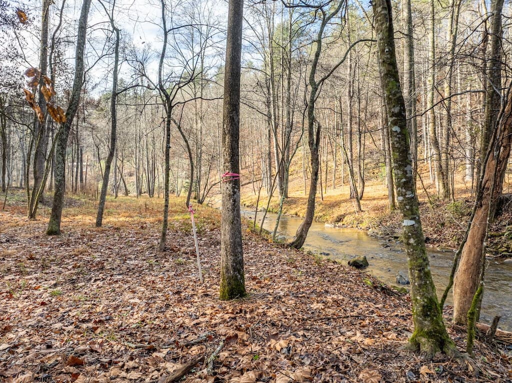 894 Hap Holt Road, Ellijay GA 30540 - Photo