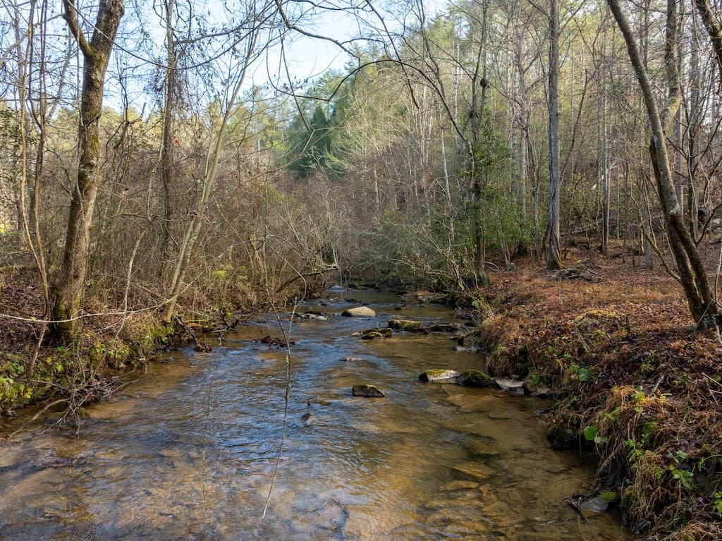 894 Hap Holt Road, Ellijay GA 30540 - Photo