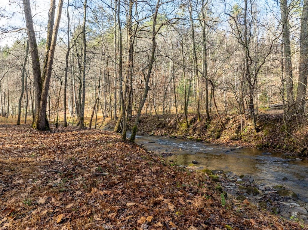 894 Hap Holt Road, Ellijay GA 30540 - Photo