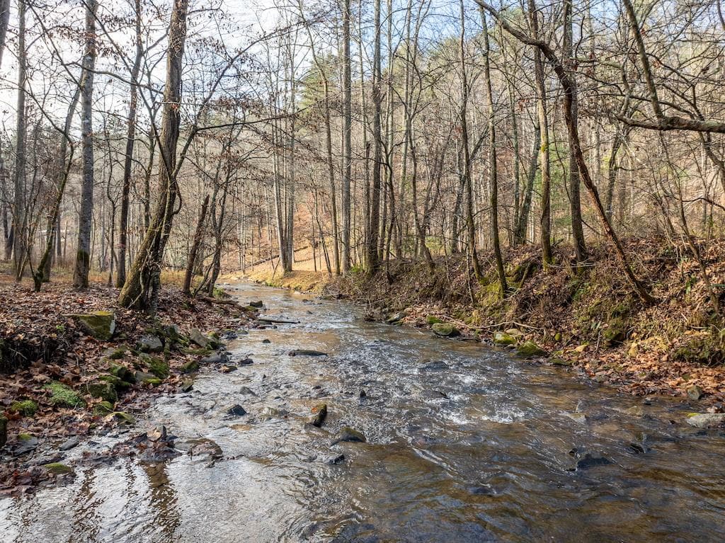 894 Hap Holt Road, Ellijay GA 30540 - Primary photo