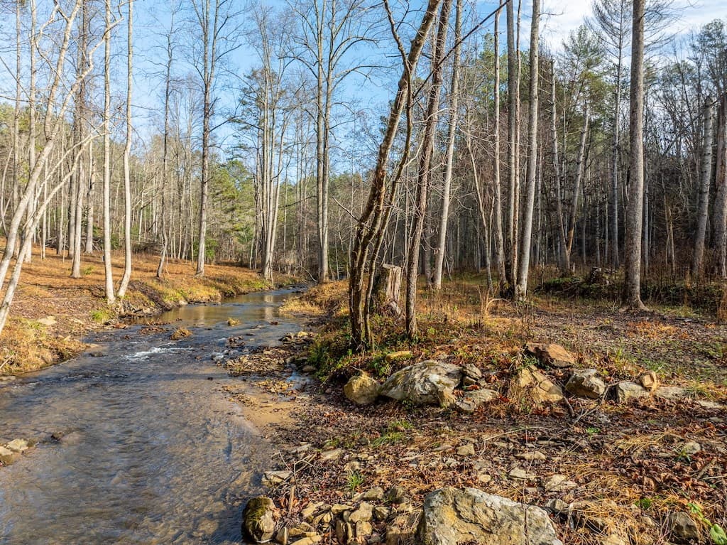 894 Hap Holt Road, Ellijay GA 30540 - Photo