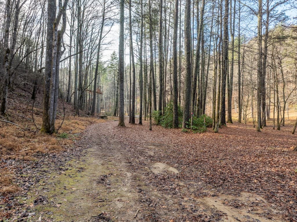 894 Hap Holt Road, Ellijay GA 30540 - Photo