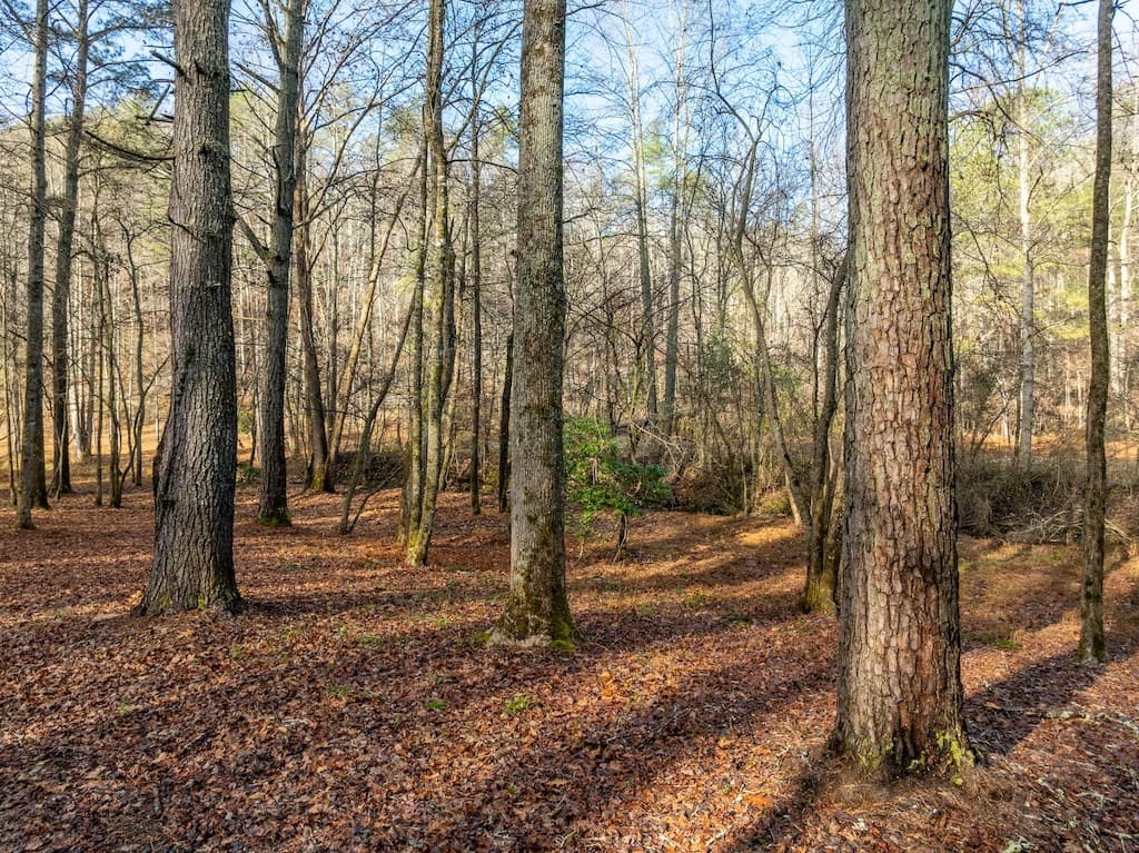 894 Hap Holt Road, Ellijay GA 30540 - Photo