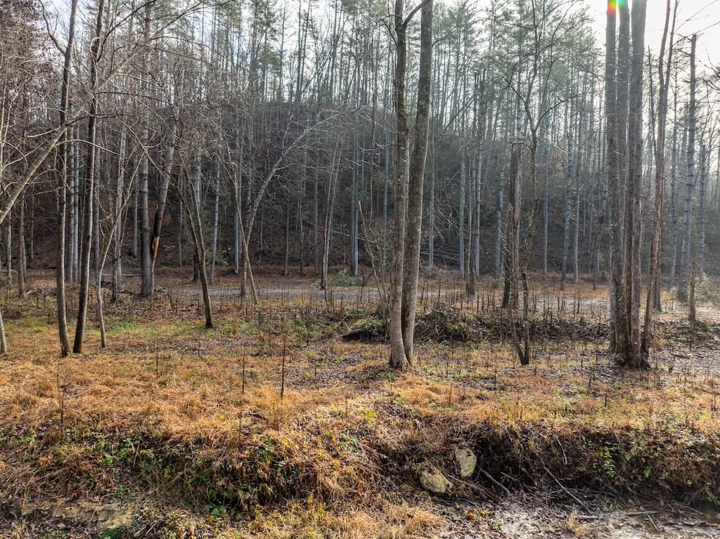 894 Hap Holt Road, Ellijay GA 30540 - Photo