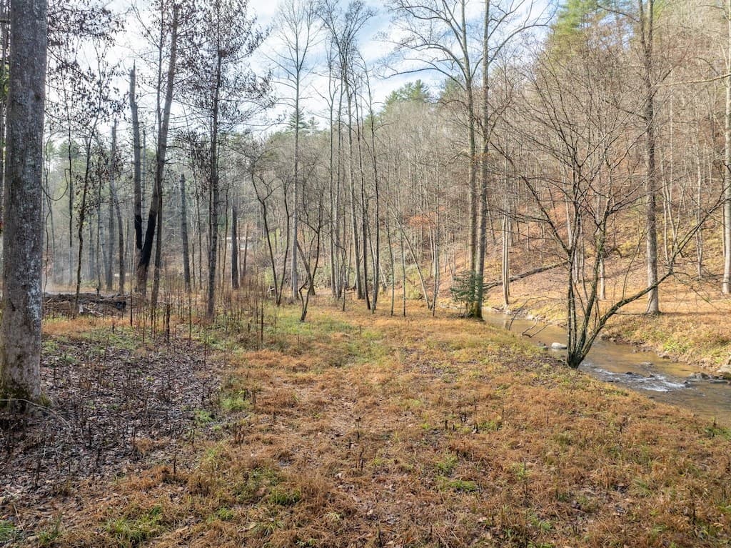 894 Hap Holt Road, Ellijay GA 30540 - Photo
