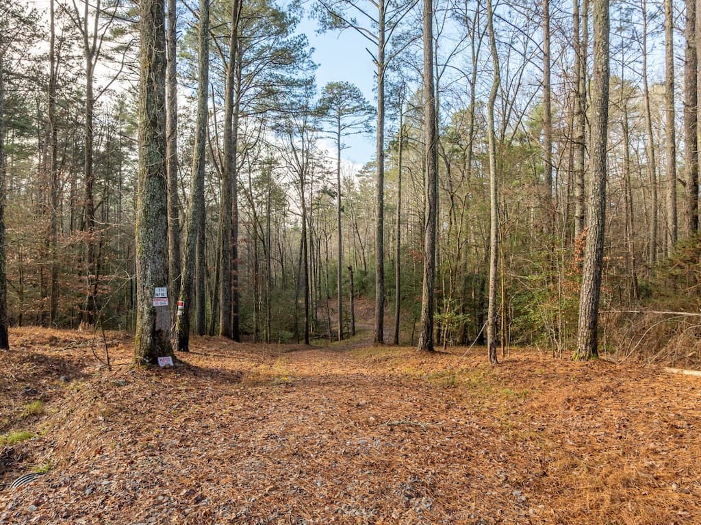 894 Hap Holt Road, Ellijay GA 30540 - Photo