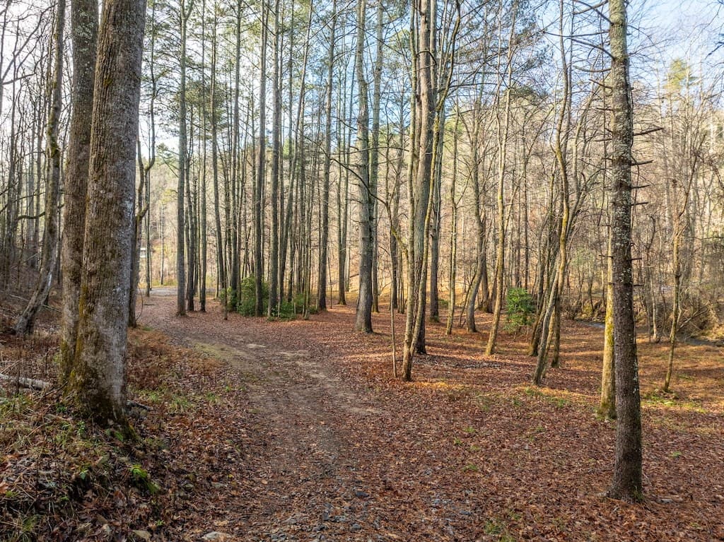 894 Hap Holt Road, Ellijay GA 30540 - Photo