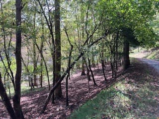 LT 2486 Novena Court, Ellijay GA 30540 - Photo