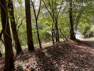 LT 2486 Novena Court, Ellijay GA 30540 - Photo