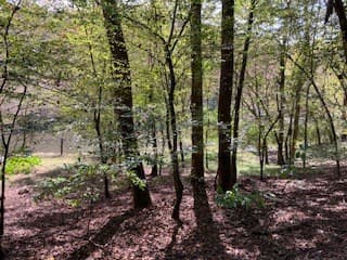 LT 2486 Novena Court, Ellijay GA 30540 - Photo