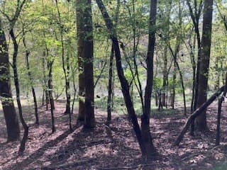 LT 2486 Novena Court, Ellijay GA 30540 - Photo