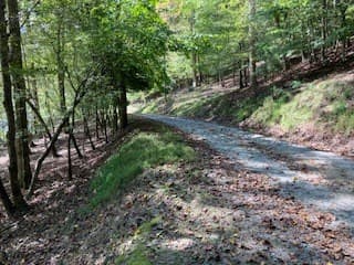 LT 2486 Novena Court, Ellijay GA 30540 - Photo