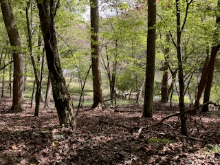 LT 2486 Novena Court, Ellijay GA 30540 - Photo