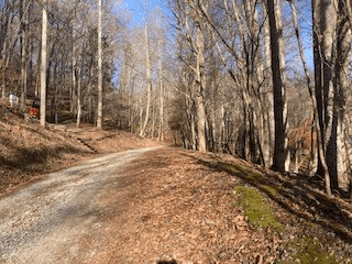 LT 2486 Novena Court, Ellijay GA 30540 - Photo