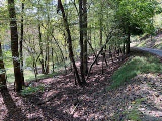 LT 2486 Novena Court, Ellijay GA 30540 - Photo